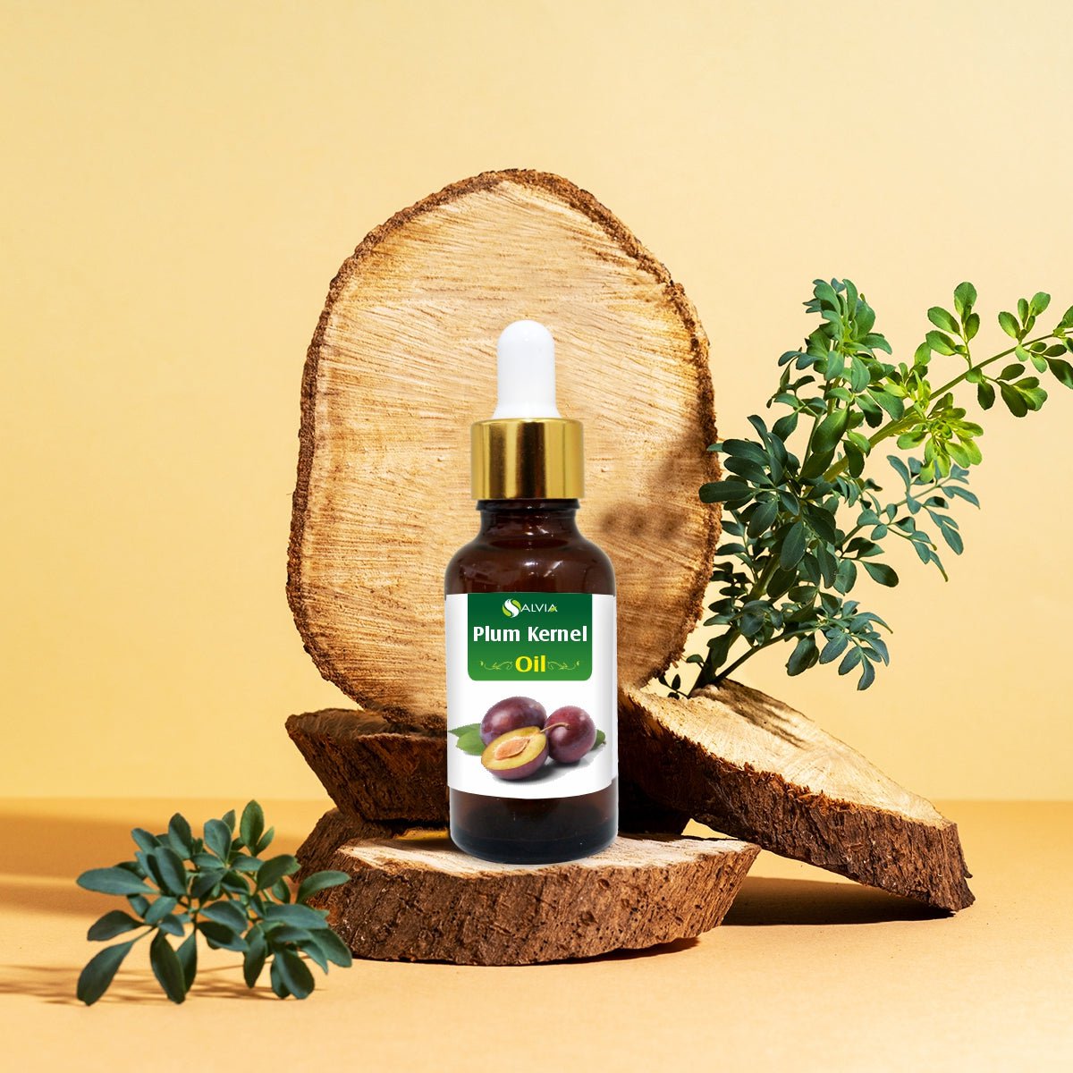 Salvia Natural Carrier Oils Plum Kernel Oil Salvia Natural Carrier Oils Plum Kernel Oil